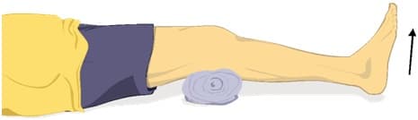 knee_extansion